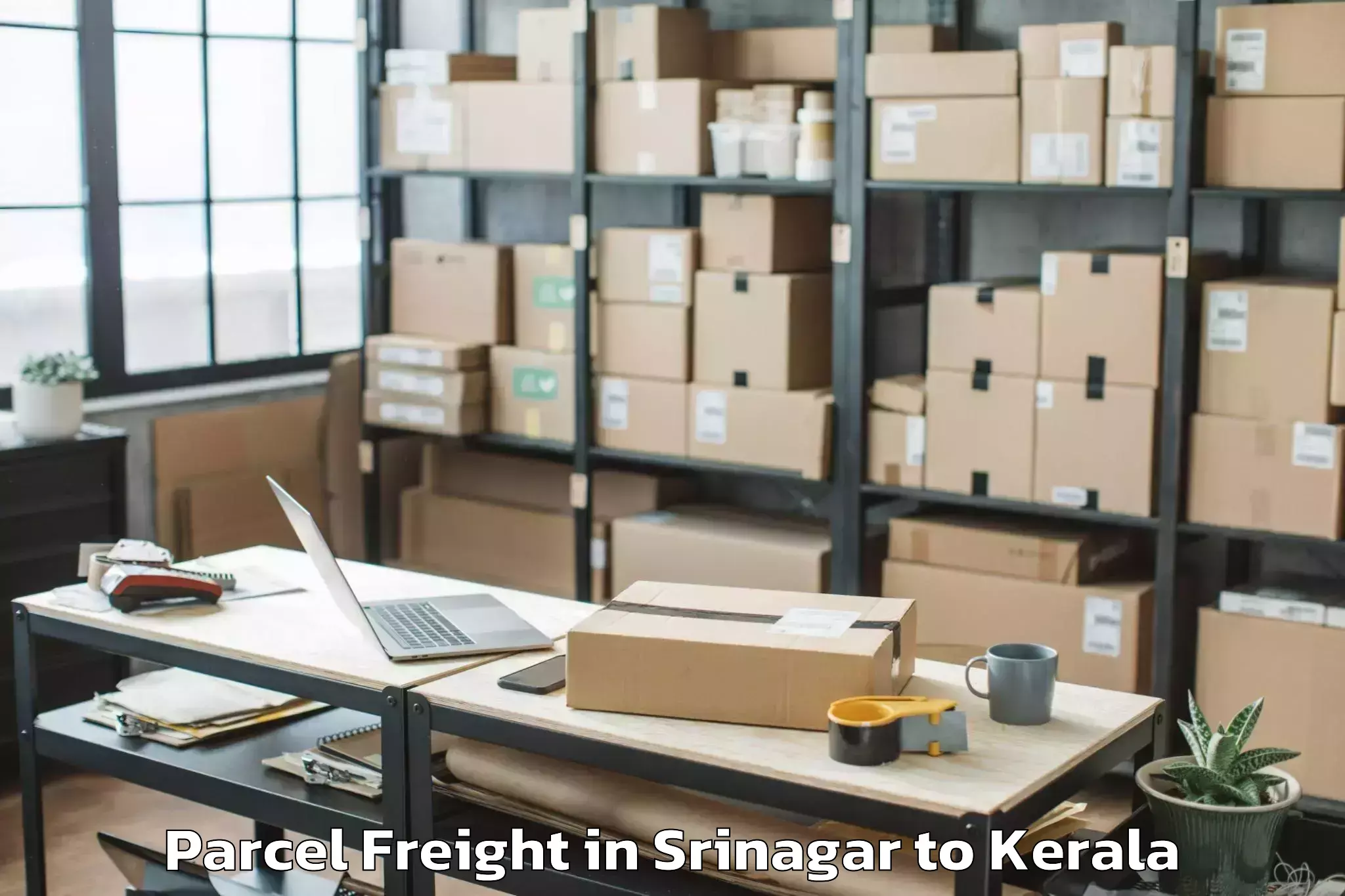 Affordable Srinagar to Alappuzha Parcel Freight